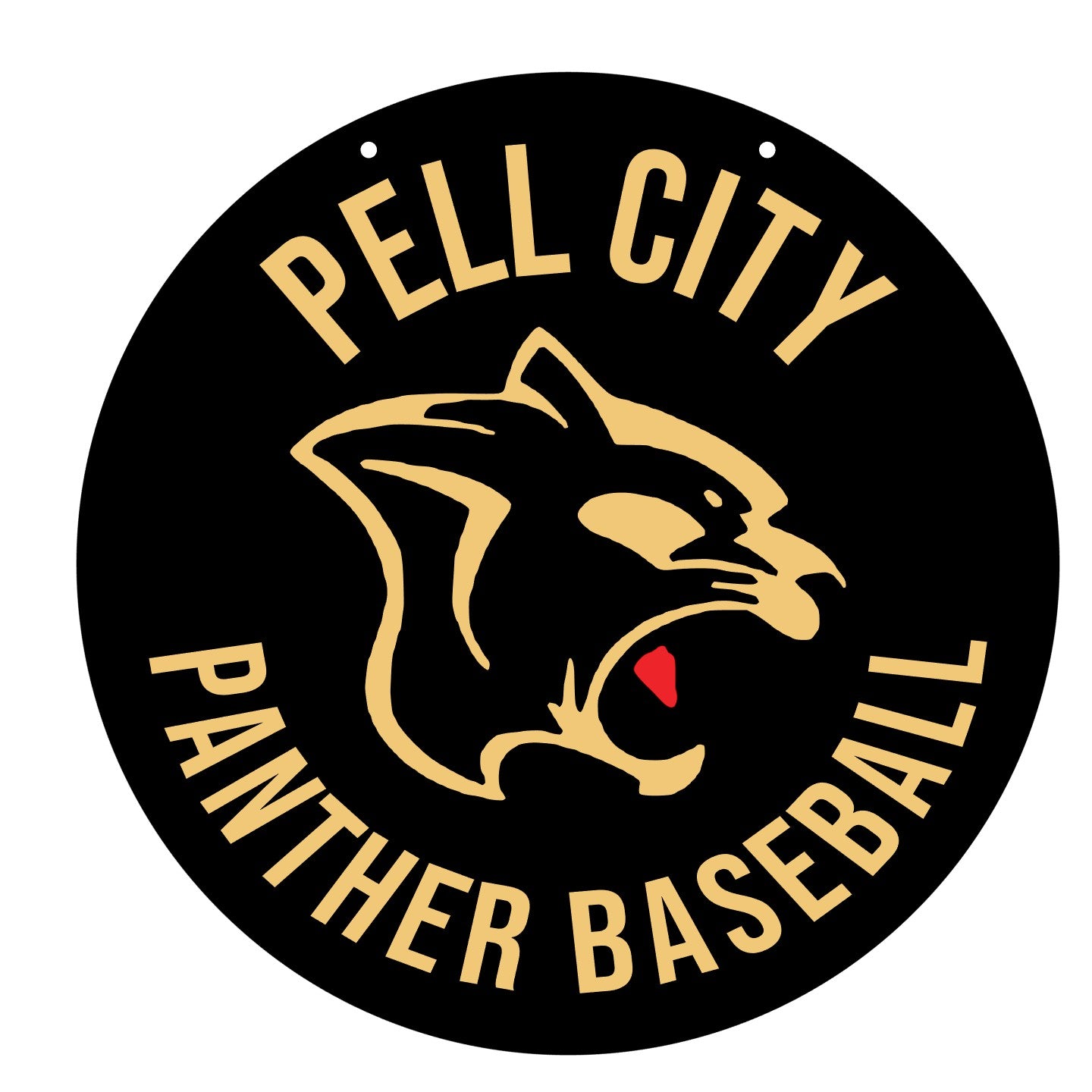 PCHSW Panthers Baseball Round Door Hanger