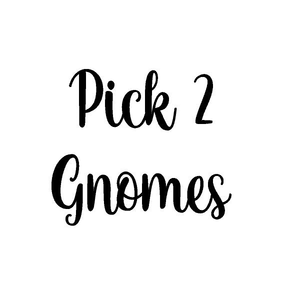 Pick 2 Gnomes 2.21.24